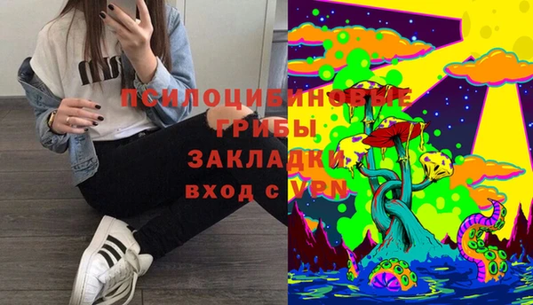 стаф Лабытнанги