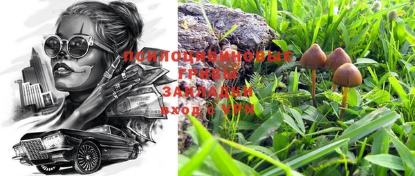 ГАЛЛЮЦИНОГЕННЫЕ ГРИБЫ Лагань