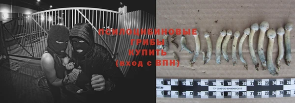 ГАЛЛЮЦИНОГЕННЫЕ ГРИБЫ Лагань