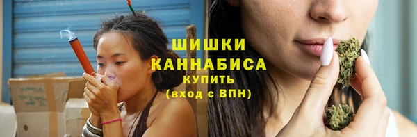 ГАЛЛЮЦИНОГЕННЫЕ ГРИБЫ Лагань