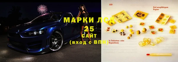 ГАЛЛЮЦИНОГЕННЫЕ ГРИБЫ Лагань