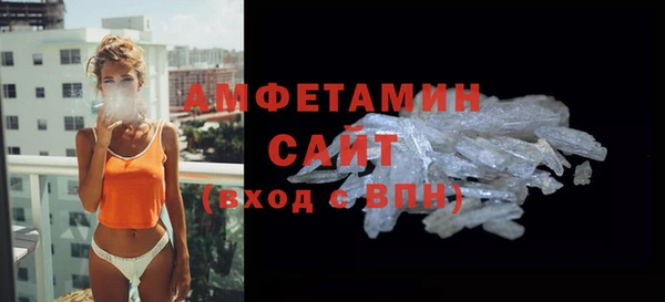 ГАЛЛЮЦИНОГЕННЫЕ ГРИБЫ Лагань