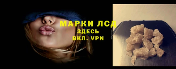 ГАЛЛЮЦИНОГЕННЫЕ ГРИБЫ Лагань