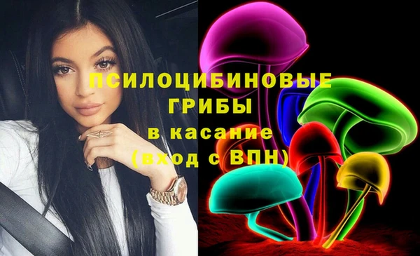 стаф Лабытнанги