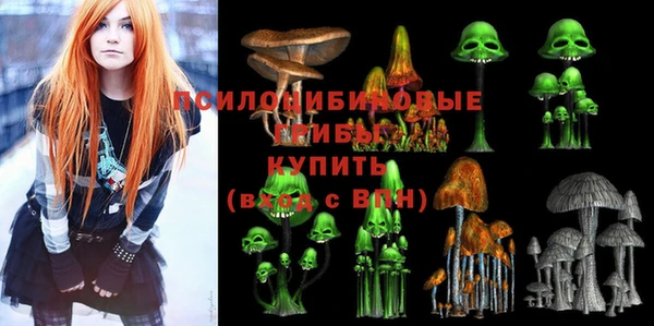 стаф Лабытнанги