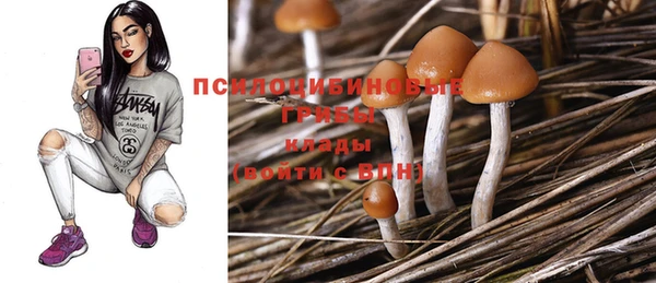 стаф Лабытнанги