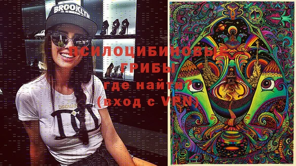 стаф Лабытнанги