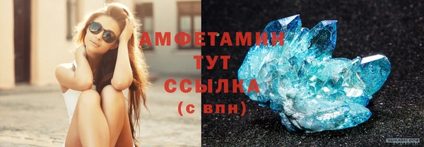 ГАЛЛЮЦИНОГЕННЫЕ ГРИБЫ Лагань