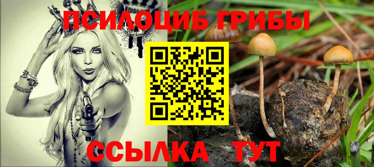 Уссурийск  цена наркотик  Вход с VPN  Псилоцибиновые грибы ЛСД 
