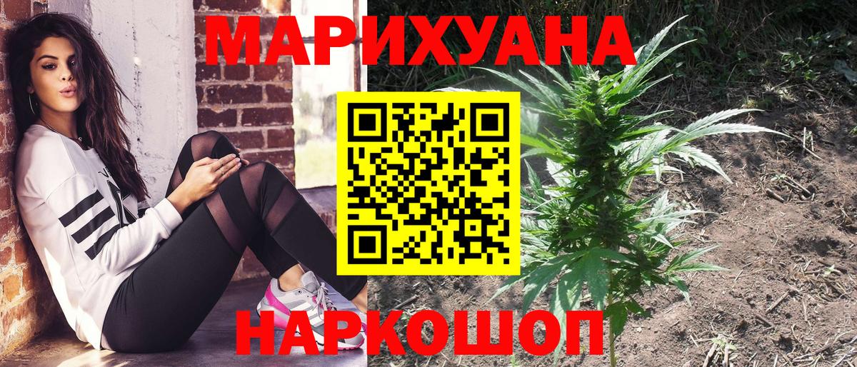 Уссурийск  Конопля конопля  Конопля тримм  Конопля семена  Вход с VPN 